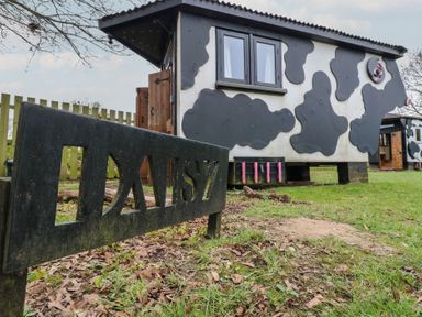 An outdoor structure painted like a cow with a wooden door and windows near a sign that says DAISY at Daisy Cow Shed 1 Easton near Campsea Ashe