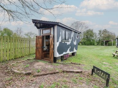 A small building painted with black and white cow patterns in a grassy area with a wooden fence and a wooden bench at Daisy Cow Shed 1 Easton near Campsea Ashe