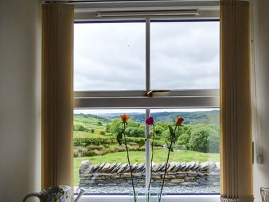 A window with vertical blinds and three flowers in glass vases on the sill with a countryside view and stone wall at Ghyll Bank Barn in Staveley near Windermere