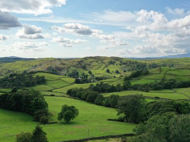 A landscape of rolling green hills with scattered trees and stone fences under a sky with clouds