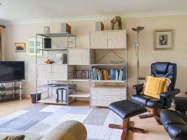 A living room with shelving units holding books and DVDs a black leather armchair with a footrest and a yellow pillow at 50 Fernhill Heights in Charmouth