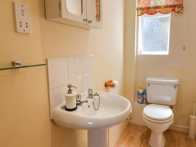 A bathroom with a sink toilet cleaning supplies and a window at 50 Fernhill Heights in Charmouth
