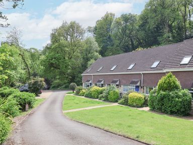 A row of houses with front gardens and a driveway surrounded by trees at 50 Fernhill Heights in Charmouth