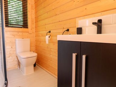 A bathroom with a toilet a sink with cabinet a window with blinds and wooden walls at Northwood Lodge in Llanbedrog