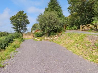 A gravel driveway with trees and a wooden gate at Northwood Lodge in Llanbedrog