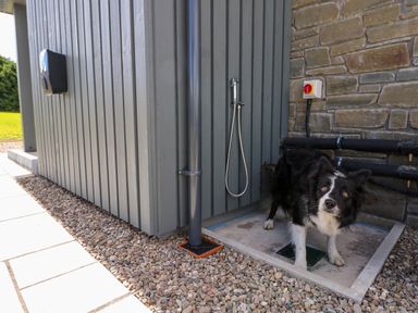 An outdoor washing area with a hose and concrete base with a black and white dog at Strawberry Cottage in Wester Essendy near Dunkeld