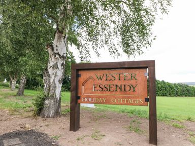 A wooden sign for Wester Essendy holiday cottages next to birch trees in a grassy area at Wester Essendy near Dunkeld