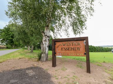 A metal sign reading Wester Essendy Holiday Cottages next to a birch tree by a road and grassy field at Bramble Cottage in Wester Essendy near Dunkeld