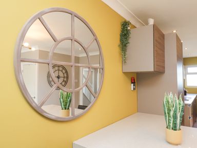 A kitchen countertop with a potted plant a large round mirror on a yellow wall and a wall cabinet with a hanging plant at 315 Filey Road in Scarborough