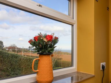 A vase with red flowers on a windowsill with a view of fields and houses at 315 Filey Road Scarborough