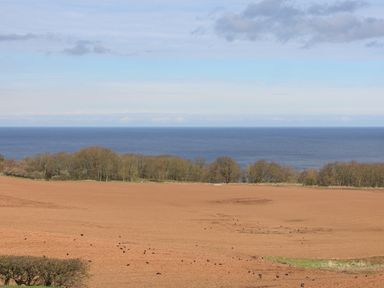 A plowed field in front of a row of trees with the sea and sky in the background at 315 Filey Road Scarborough