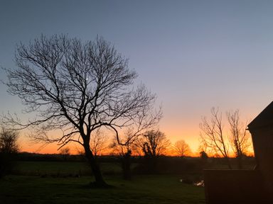 A landscape with leafless trees and a sunset sky near a building at Brook Farm in St Nicholas near Halesworth