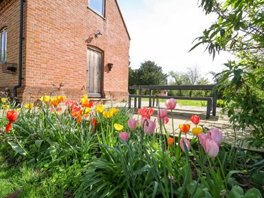 A garden with colorful tulips next to a brick building with wooden door and outdoor table at Brook Farm in St Nicholas near Halesworth