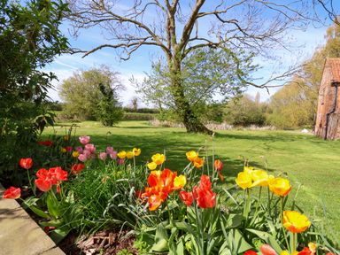 A garden with colorful tulips a large tree and a brick building at Brook Farm in St Nicholas near Halesworth