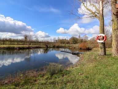 A pond with a wooden dock and a life ring on a tree near grass fields at Brook Farm in St Nicholas near Halesworth