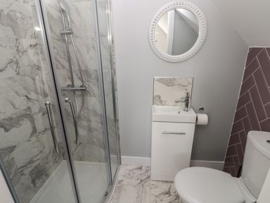 A bathroom with a glass shower enclosure a small sink with a mirror above and a toilet at Wychwood in Hook near Haverfordwest
