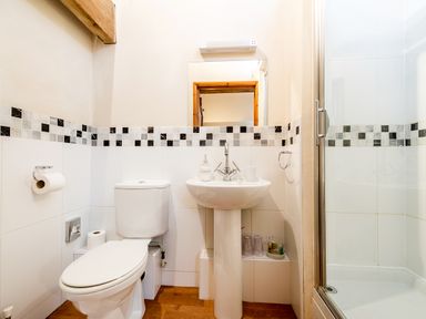 A bathroom with a toilet sink mirror and shower at Coot in Wheatacre