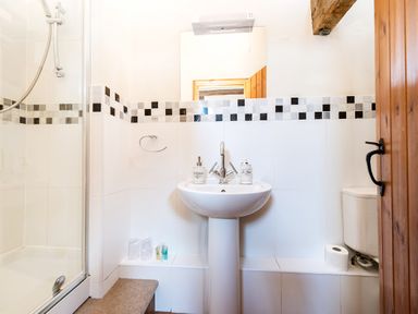 A bathroom with a pedestal sink, mirror, toilet, shower enclosure, and wooden door at Widgeon in Wheatacre
