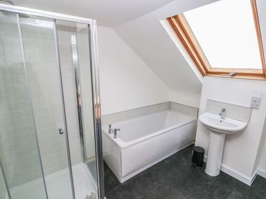A bathroom with a shower enclosure bathtub pedestal sink and skylight window at Dalton Cottage in Llansaint