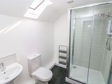 A bathroom with a sink toilet shower and skylight window at Dalton Cottage in Llansaint