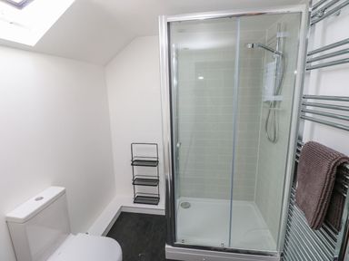 A bathroom with a toilet a glass shower enclosure and a towel on a chrome heated rail at Dalton Cottage in Llansaint