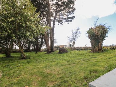 A grassy garden area with trees and a tree stump at Curragh Cottage in Rathimney near New Ross County Wexford