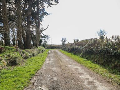 A dirt road with grass on both sides and trees on the left at Curragh Cottage Rathimney near New Ross County Wexford