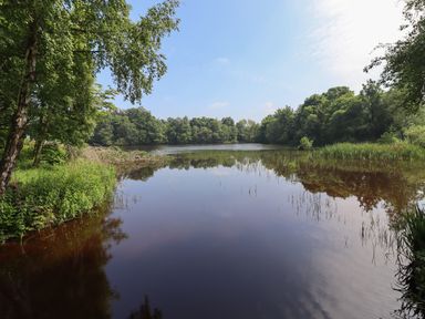 A lake surrounded by trees and vegetation under a clear sky at The Boathouse in Belford