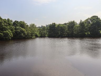 A body of water with trees along the shore at Otters Cove in Belford