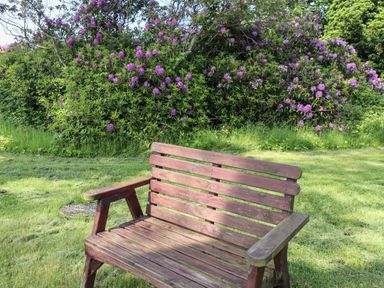 A wooden garden bench on grass with purple flowering bushes in the background at Otters Cove in Belford