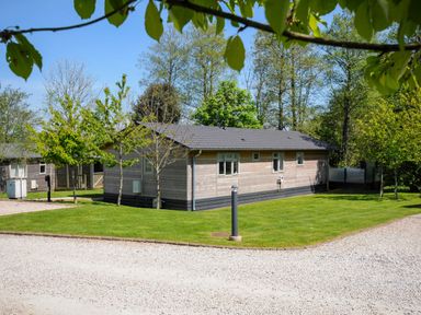 A wooden single-story house with a tiled roof on a grassy area with trees at 23 Meadow Retreat in Dobwalls
