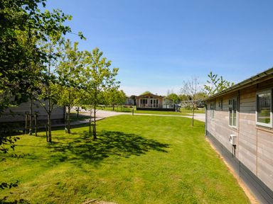 A grassy yard with small trees and wooden buildings under a blue sky at 23 Meadow Retreat in Dobwalls