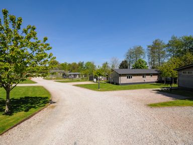 A gravel road with trees and wooden buildings at 23 Meadow Retreat in Dobwalls