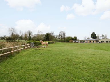 A horse in a field with trees and buildings at The Barn in Astwood Bank