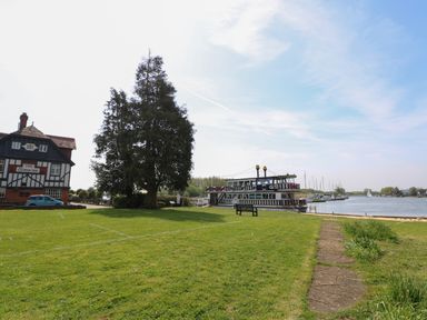 A grassy area with a large tree and a riverside boat near a building called The Swan Inn at Paws-A-While in Hoveton Wroxham