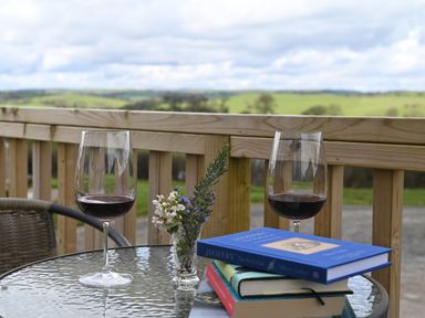 A round glass table with two glasses of red wine a small vase with flowers and a stack of books on a wooden deck overlooking green fields at Cae Pren in New Mills near Llanfair Caereinion