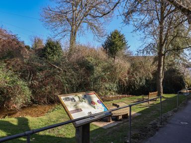 An outdoor area with an information board near a small river and a bench by a tree with bushes in the background at 4 Lymbrook Cottages in Lyme Regis
