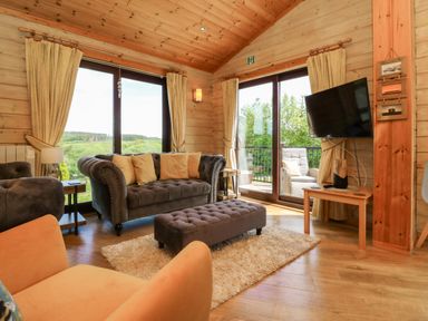 A living room with sofas ottoman rug and television at Moonlake Lodge in Woolsery near Woolfardisworthy