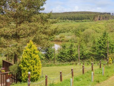 A grassy yard with a wooden deck and various trees near a fenced area and a river at Moonlake Lodge in Woolsery near Woolfardisworthy