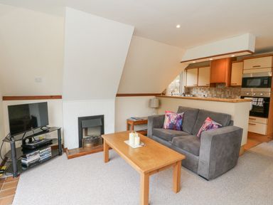 A living room with a gray sofa and colorful pillows next to a wooden coffee table and a TV on a stand at Lodge 2 - Inglewood Lodge in Spean Bridge