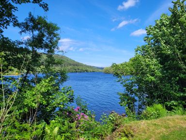 A lake surrounded by trees and greenery under a blue sky at Lodge 2 - Inglewood Lodge in Spean Bridge