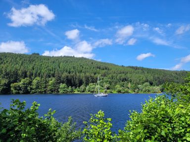 A lake with a sailboat surrounded by trees and hills under a blue sky
