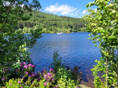 A lake surrounded by trees with a boat on the water at Lodge 2 - Inglewood Lodge in Spean Bridge