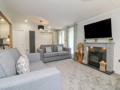 A living room with two gray sofas a fireplace a large wall mounted tv and small plants at 18 Manleigh Park in Combe Martin