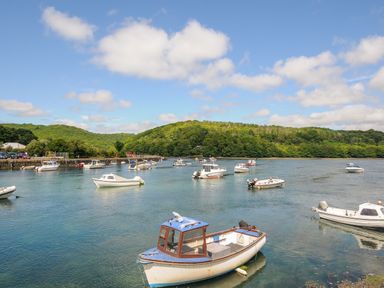 Boats moored in a river with hills and trees in the background at Sea Pinks in Looe
