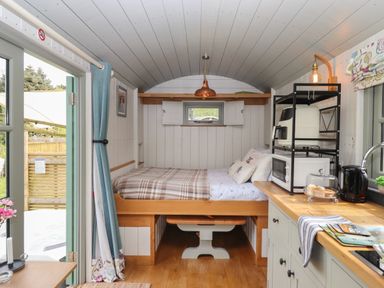 A small bedroom with a bed shelves with kitchen appliances and a wooden countertop in a cabin