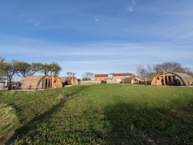 Four wooden glamping pods on a grass field with a large brick farmhouse in the background at Glamping Pod 1 Comfort in Lebberston
