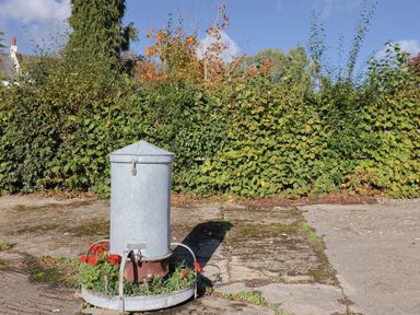 A water fountain surrounded by plants in an outdoor area at The Cart Shed Barwick near Yeovil, Somerset
