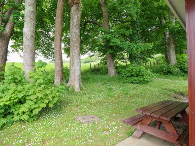 A picnic table on a concrete area beside a group of trees with grass and small white flowers at Hill View in Bryncrug near Tywyn
