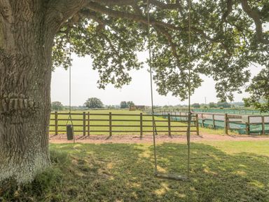 A large tree with two rope swings hanging in a grassy yard with a fence and fields at Orchard View Redmary D Abitot near Hartpury